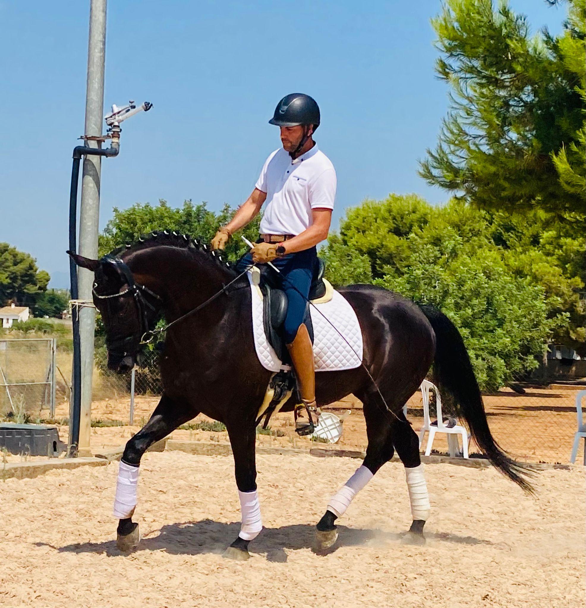 CLASES DE EQUITACION EN VALENCIA